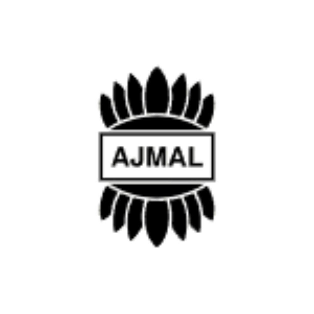 logo (1)